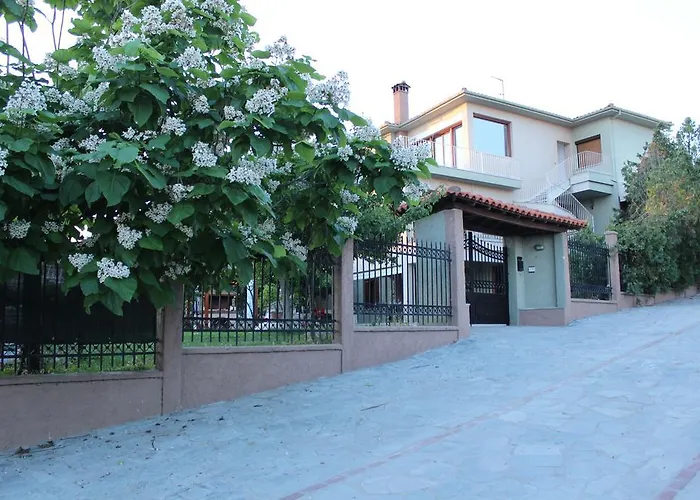 Pinehouse King ניקיטי